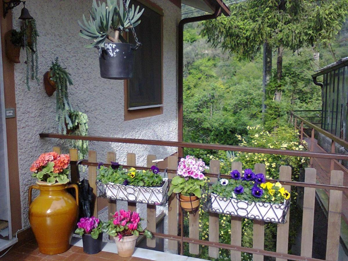 La Margherita Di Teriasca ภายนอก รูปภาพ