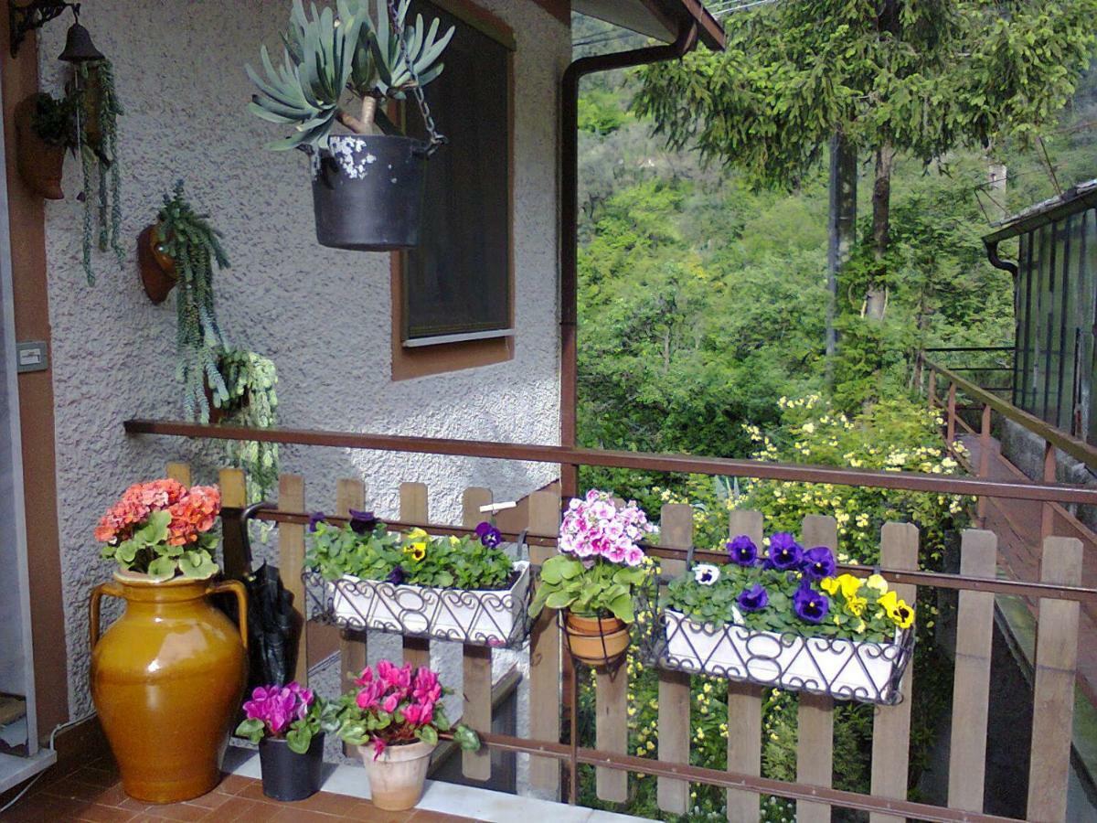 La Margherita Di Teriasca ภายนอก รูปภาพ